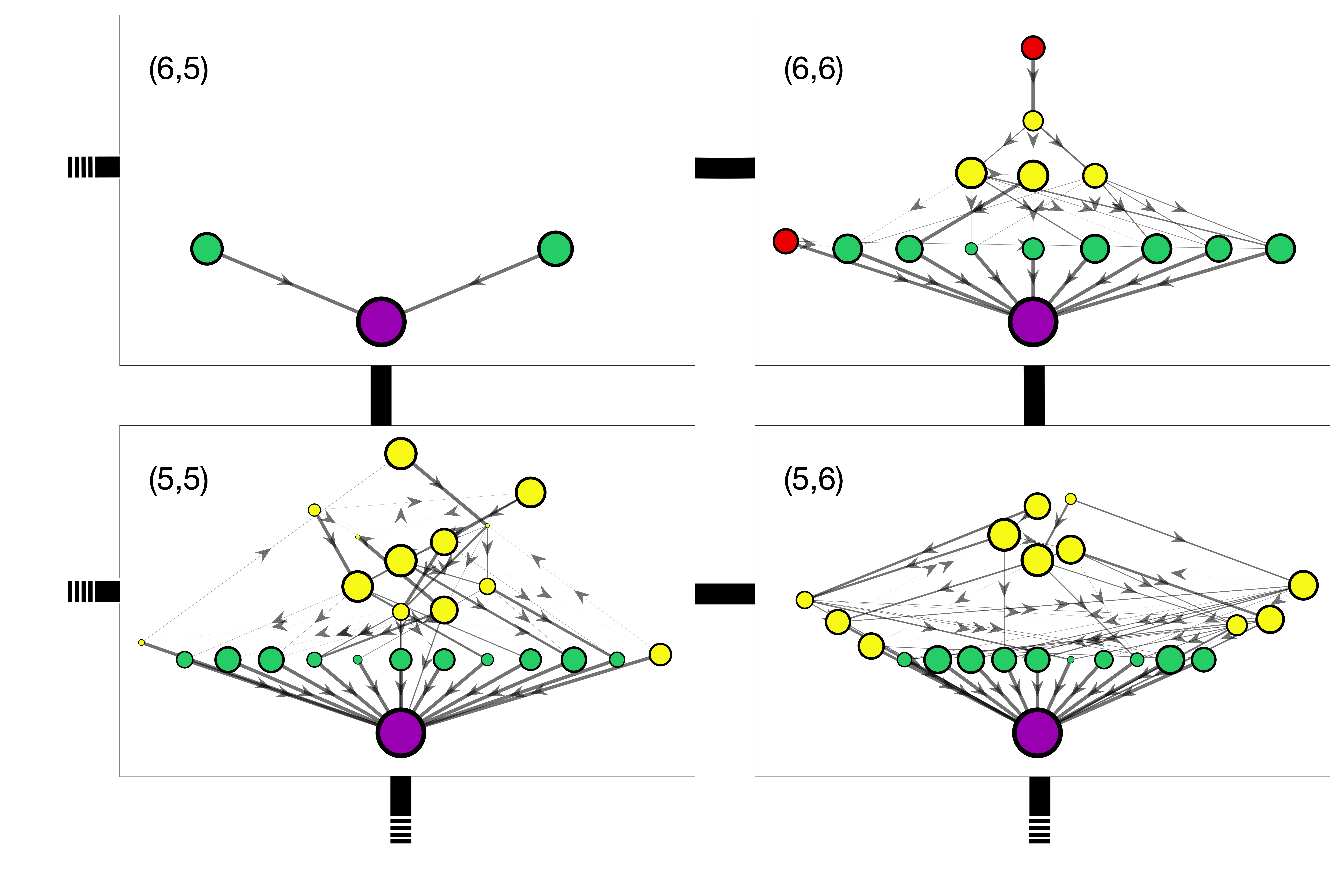 foodweb meta-community